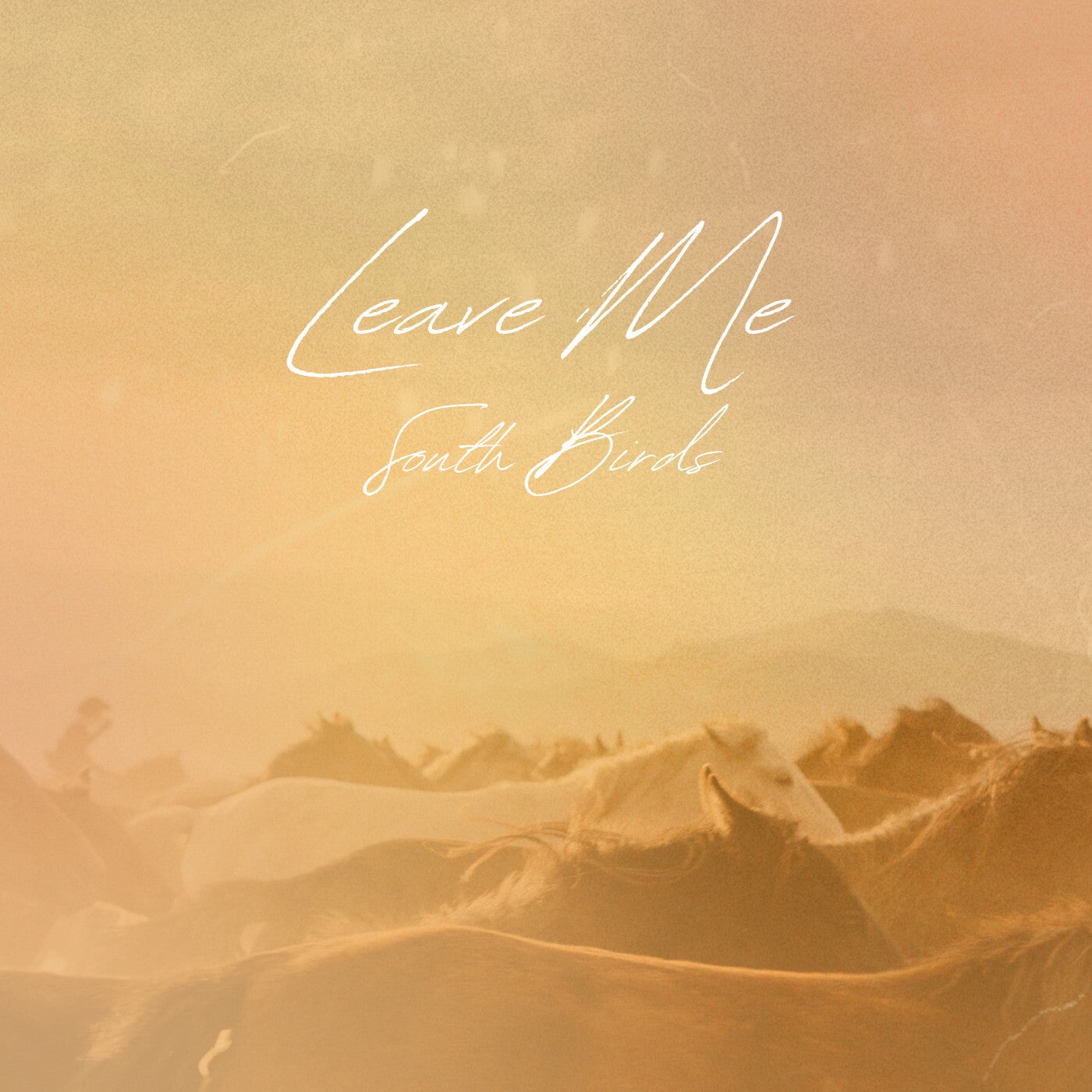 South Birds – Leave Me [GLO216]
