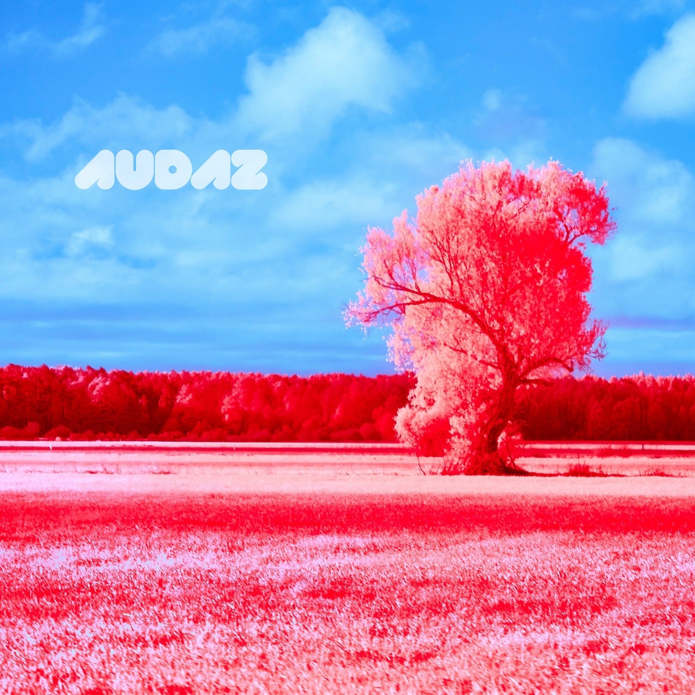 Alkalino – Project Cirrus [AUDAZ247]