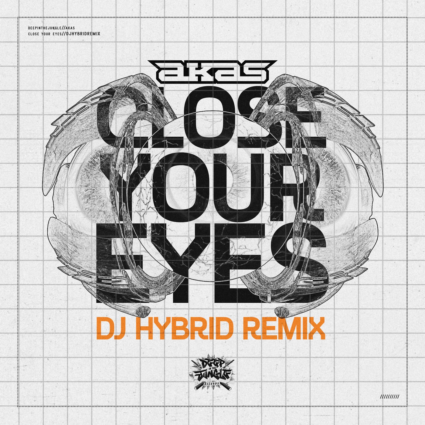 DJ Hybrid, AKAS – Close Your Eyes (DJ Hybrid Remix) [DEEPIN133R]